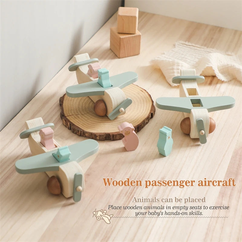 Wooden plane