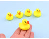 Ducks bath set