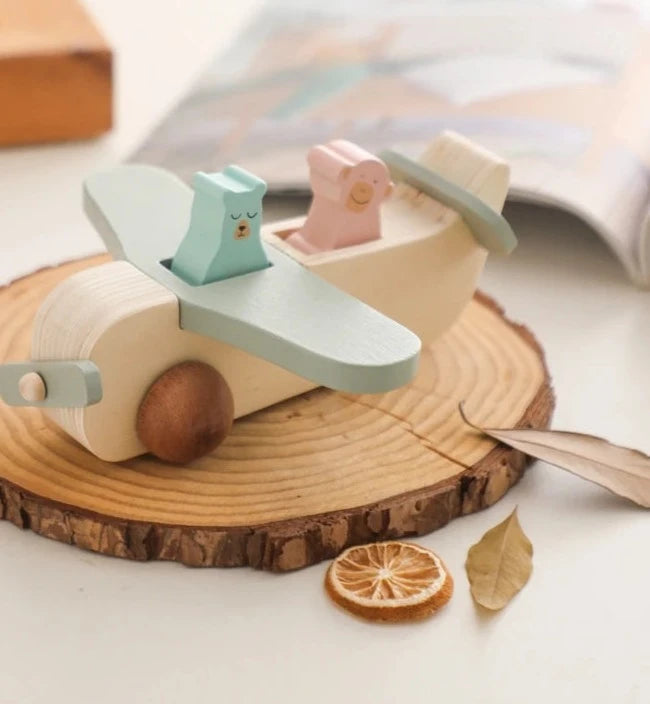 Wooden plane