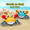 Musical bath crab