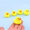 Ducks bath set